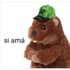 Peluches fraseados 1👆👅 15