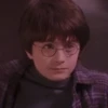 HARRY POTTER 22