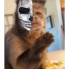 🙊 MonkeyMix 2🙊 17