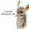 Peluches fraseados 1👆👅 16