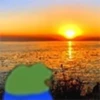 7tv Emotes for WhatsApp v2 ~FxF 21