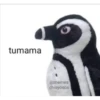 Peluches fraseados 1👆👅 18