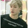 Stray kids memes 21