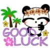 Hawiiaan Panda🫧🐼 24