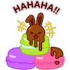 Chocolate Rabbit ❤🐰 21