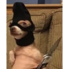 Perritos 19