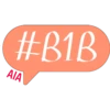 B1B Stickers 5