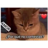 😂 risa 15