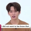 Stray kids memes 22