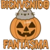 BIENVENIDO cokki FANTASMA