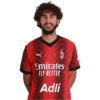 Emirates FLY BETTER Adli