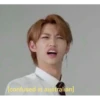 Stray kids memes 25