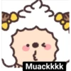 🧿Ovejita Zhihu🐑🐑 28