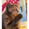 🙊 MonkeyMix 2🙊 29
