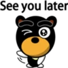 Black eyebrows bear 7