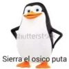 Pinwinoz 9