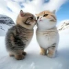 котята с искусственным интеллектом 8