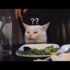 ugly cats 13