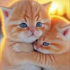 котята с искусственным интеллектом 14