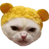 ugly cats 14