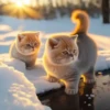 котята с искусственным интеллектом 16