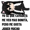 Soy Merlina Adams y qué!֍2 Clásica 17