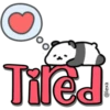 Baby Panda 5