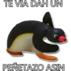 Pinwinoz 17