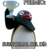 Pinwinoz 19