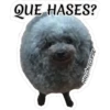 Variados 1 Clásica 16