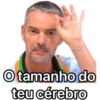 O tamanho do
teu cérebro