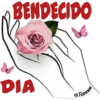 Buenos dias 8 flores 16