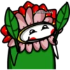 florksito coquita ᥫ᭡ 17
