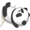 Panda yuan zai 2🫧🐼 11