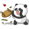 Panda yuan zai 2🫧🐼 12