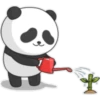 Panda yuan zai 2🫧🐼 13