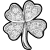 St. Patrick’s Day 9