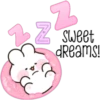 Bunny bonito 12