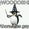 Pinwinoz 21