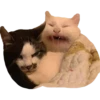 ugly cats 21
