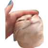 ugly cats 22