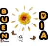 Buenos dias 8 flores 19