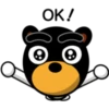 Black eyebrows bear 13
