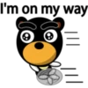 Black eyebrows bear 15