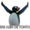 Pinwinoz 24
