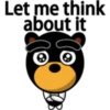 Black eyebrows bear 17
