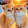 котята с искусственным интеллектом 24