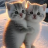 котята с искусственным интеллектом 25