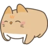 pumpkin and toasty 8