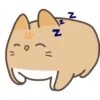 pumpkin and toasty 9